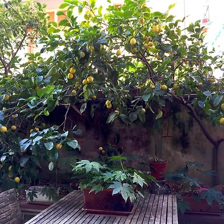 Apartman Rita Levanto