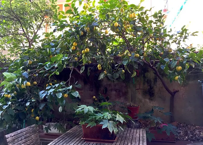 Appartement Rita Levanto